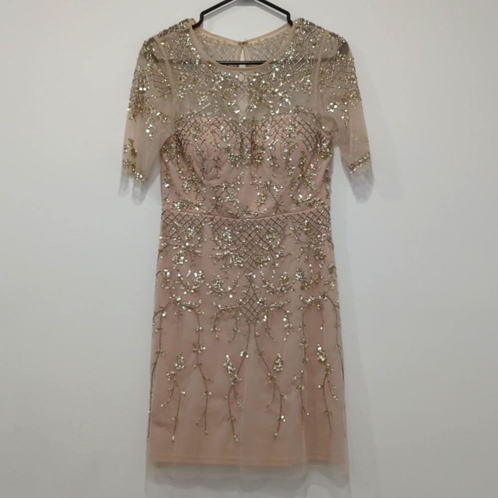 Adrianna Papell Ladies Sequinned Occasion Dress